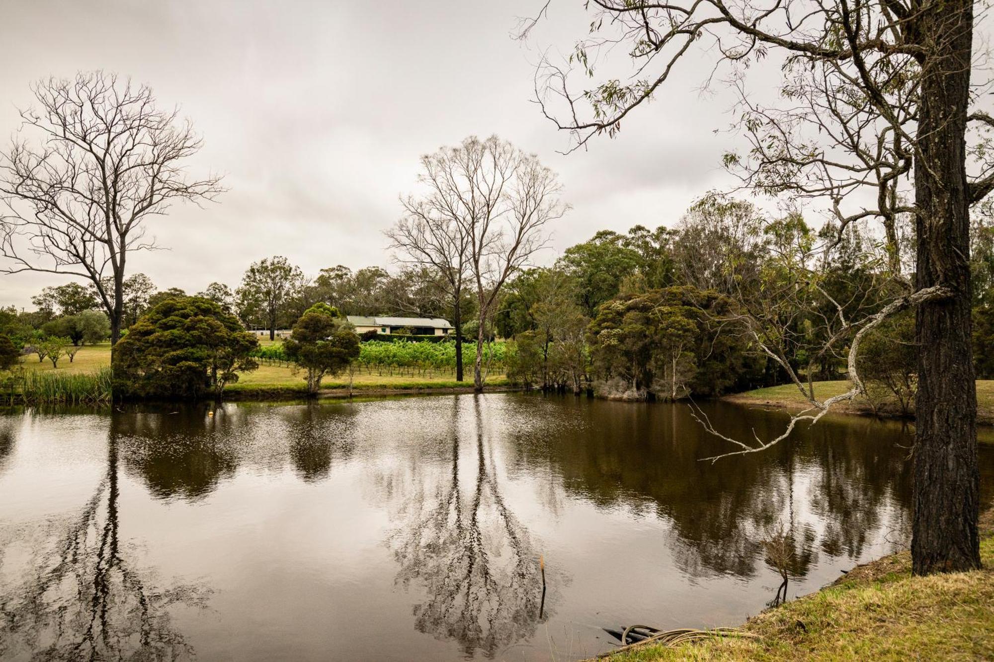 Mccaffrey's Estate * Pokolbin
